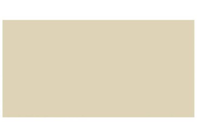 Ciot Tile Color Fawn Bright 3''x6''