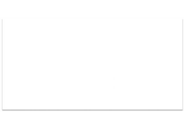 Ciot Tile Color Snow White Bright 3''x6''