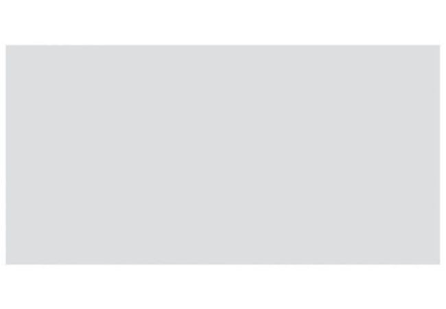 Ciot Tile Color Tender Gray Bright 3''x6''