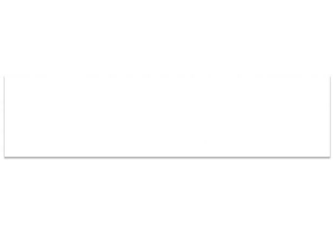 Ciot Tile Color White Ice Bright 2''x8''