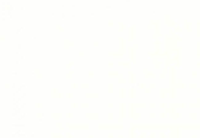 Ciot Tile Colors White Lev. Rt 24''x48''