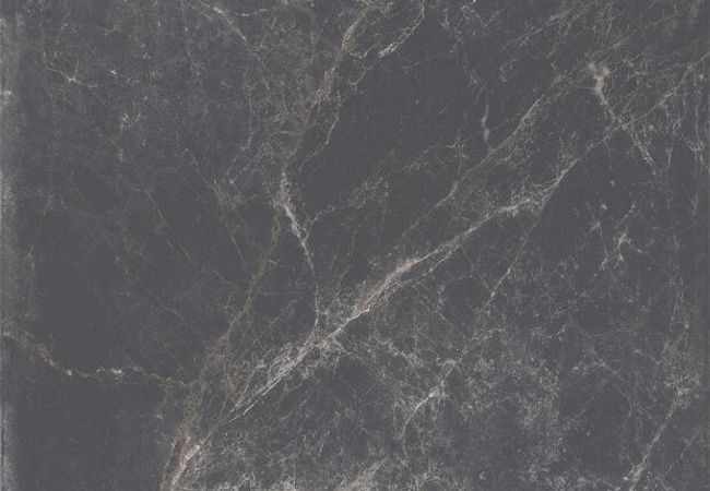 Ciot Tile Timeless Black Nat. Rt 24X24