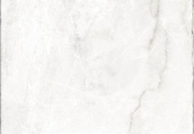 Ciot Tile Timeless White Nat. Rt 24X24