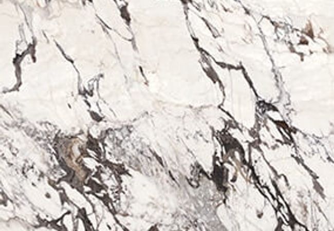 Daltile Elemental Selection Calacatta Aries
