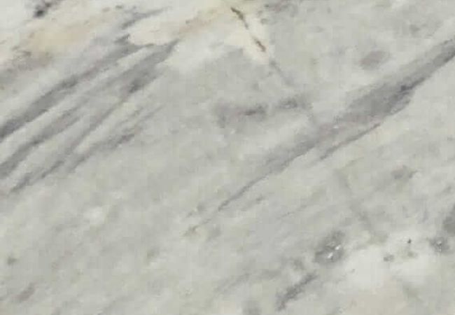 Daltile Marble Natural Stone Slab Circo White
