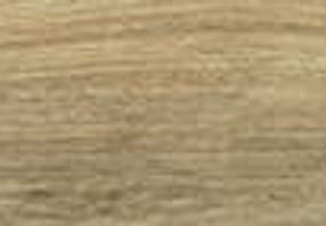 Daltile Adventuro Explorer