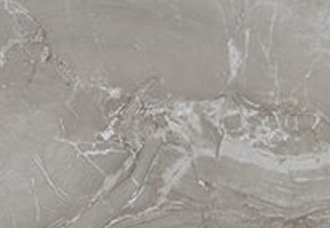 Daltile Famed Fortune