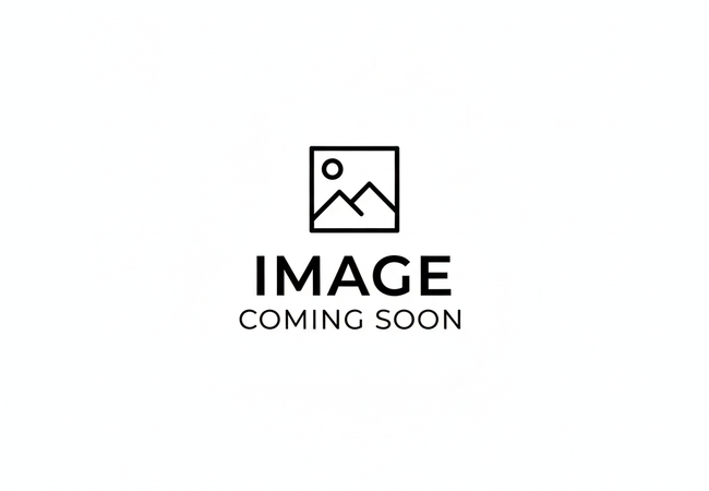 Daltile Granite Natural Stone Slab Absolute Black