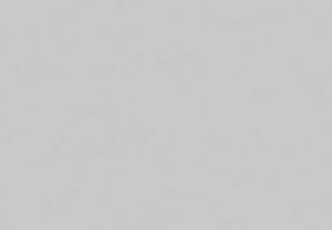 Daltile Vitruvian Grey Matte