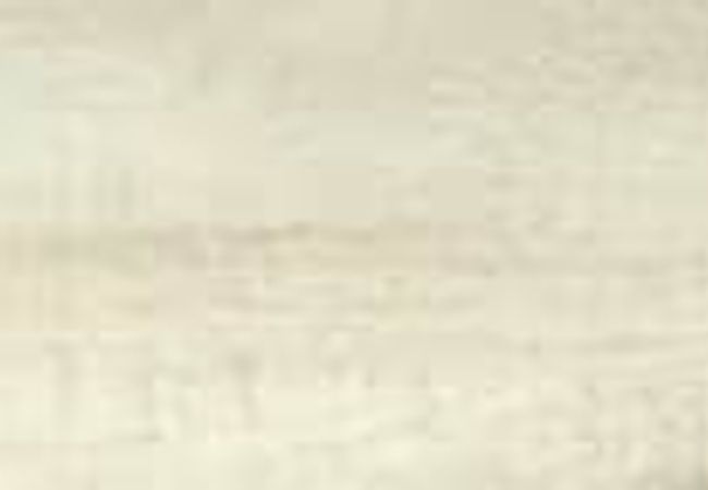 Daltile Adventuro Intrepid