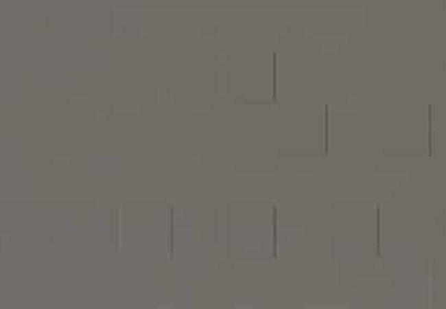 Daltile Sector Iron Aerial