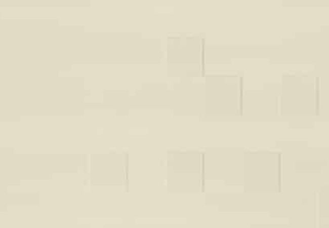 Daltile Sector Limestone Aerial