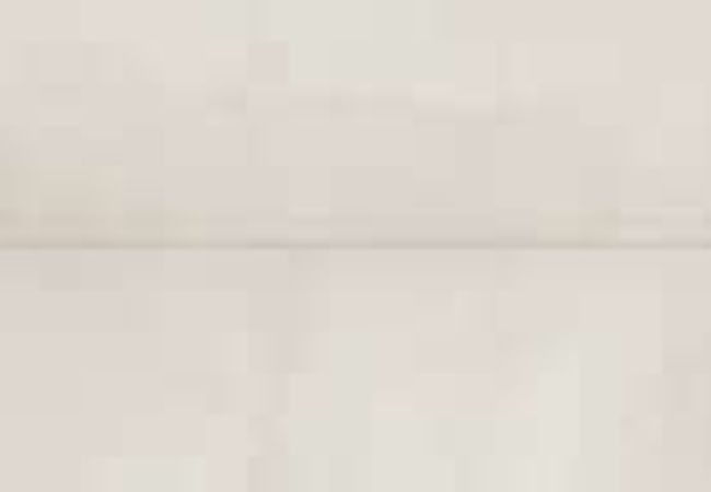 Daltile Slate Attache Meta White