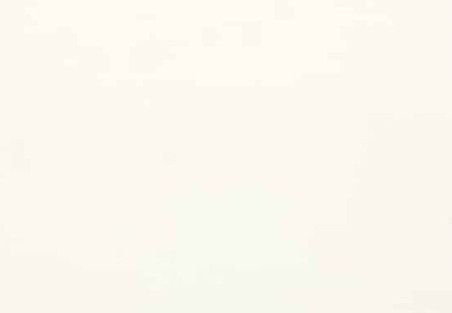 Daltile ONE Quartz Monochromatic Look Morning Frost