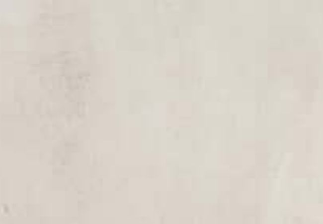 Daltile Delegate Off White