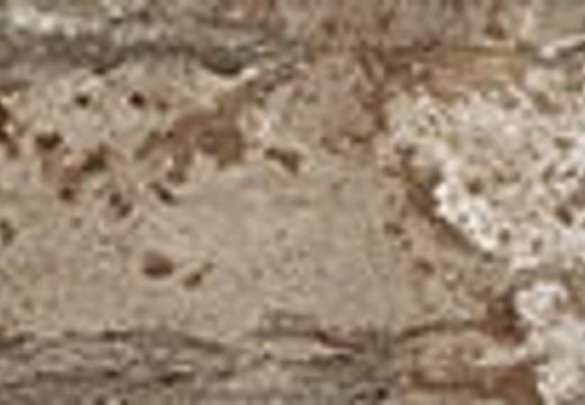 Daltile Season Wood Orchard Grey