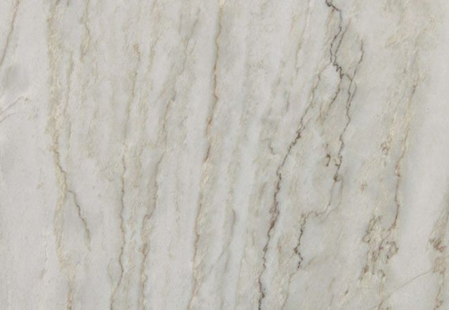 Daltile Natural Quartzite Natural Stone Slab Pegasus White