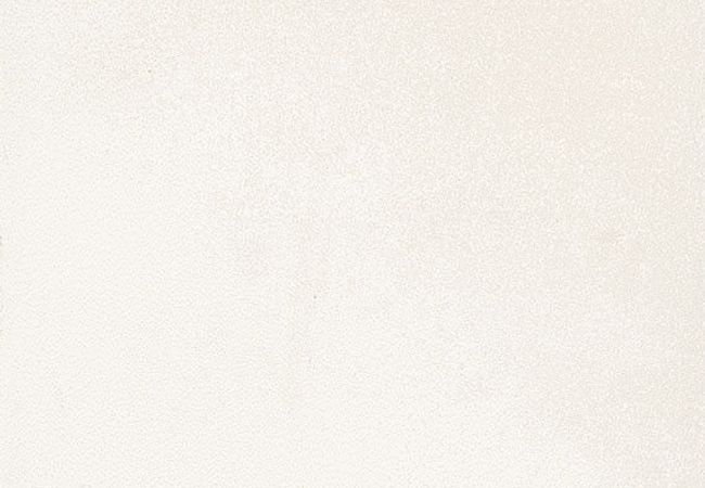 Daltile Volume 1.0 Sonic White