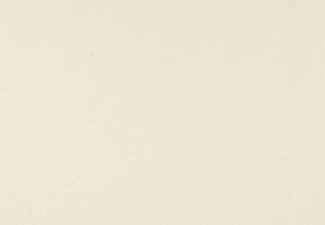 Daltile Exhibition Stark White