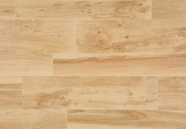 Daltile Forest Park Summertree