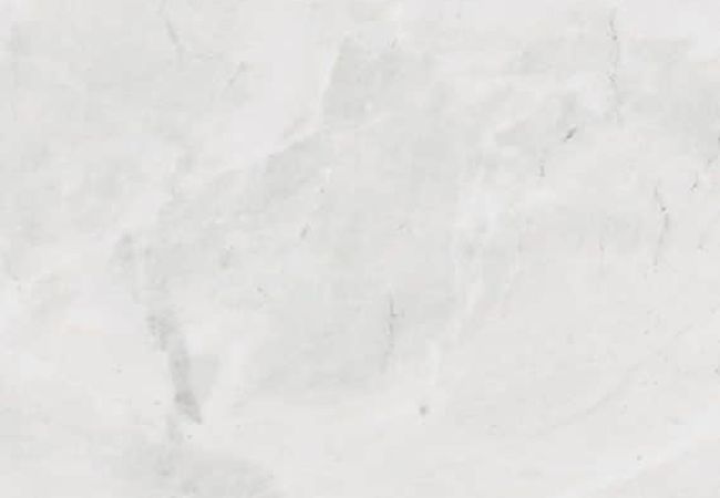 Daltile Natural Quartzite Natural Stone Slab White Noir