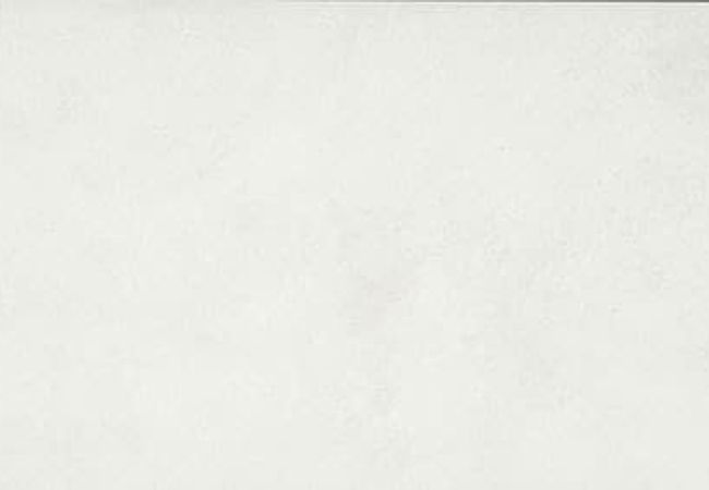Daltile Portfolio White