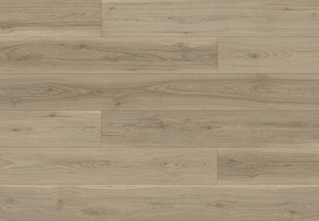 Fuzion FuzGuard Arizona Laminate Flooring