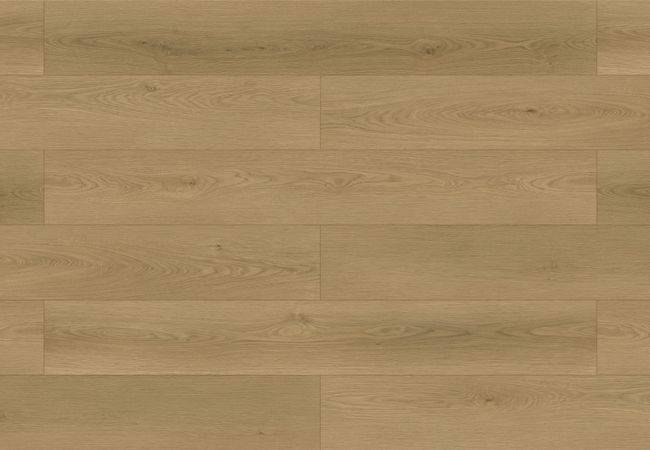 Fuzion Waterfront Oyster Oak Laminate Flooring