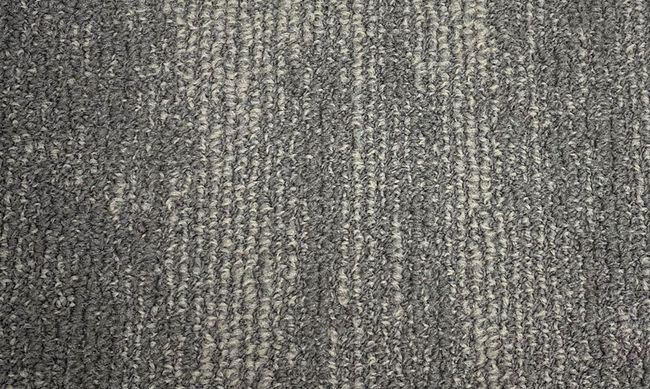 Fuzion Flooring Warsaw Carpet Tile Nylon Leduc