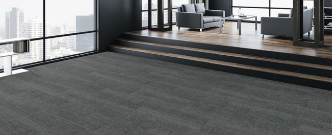 Fuzion Floors Alexandria Carpet Tile Island Path view 2