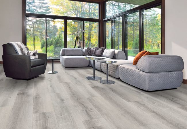 Fuzion Dynamix Endure Georgian Bay Luxury Vinyl Plank view 2