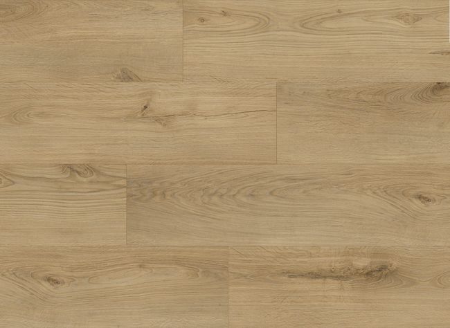 Fuzion Dynamix Lone Star Ranchers Front Luxury Vinyl Plank