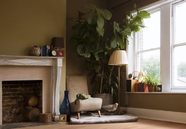 Classical Elegance Oak