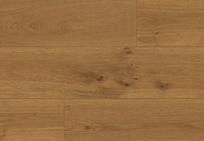 Fuzion Monarch Woods Oak Courtly Cream