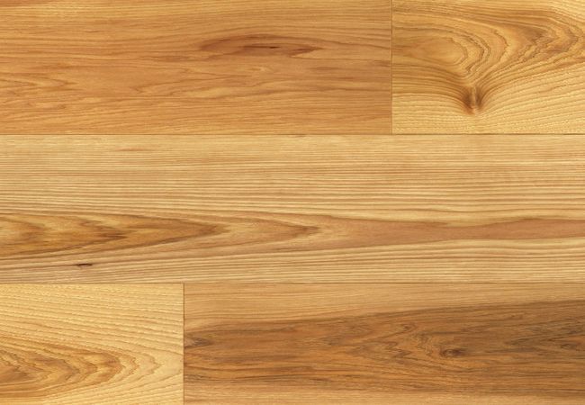 Fuzion Nouveau Renaissance Hickory Palais Biltmore