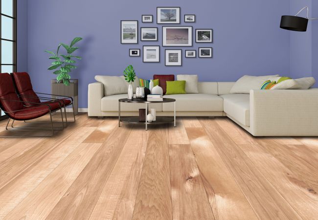 Fuzion Summit Ridge Hickory Prospector Peak view 2