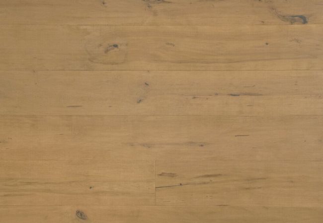 Grandeur Divine Maple Engineered Taurus