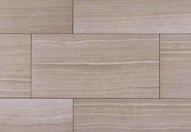 MSI Eramosa Porcelain Tile Silver