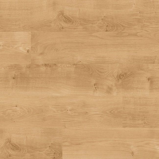 MSI Acclima Mt Sande Luxury Vinyl Plank