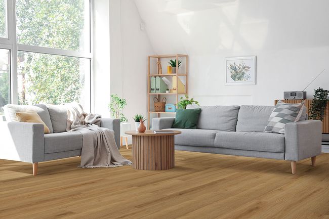 MSI Cyrus 2.0 Amber Forrester Luxury Vinyl Plank view 2