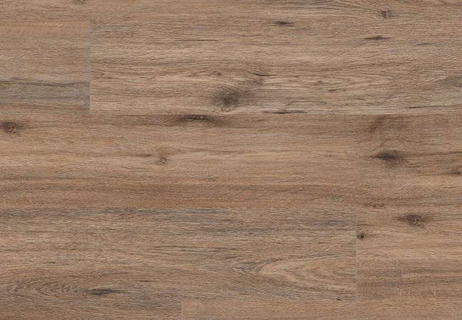 MSI Cyrus 2.0 Fauna Luxury Vinyl Plank