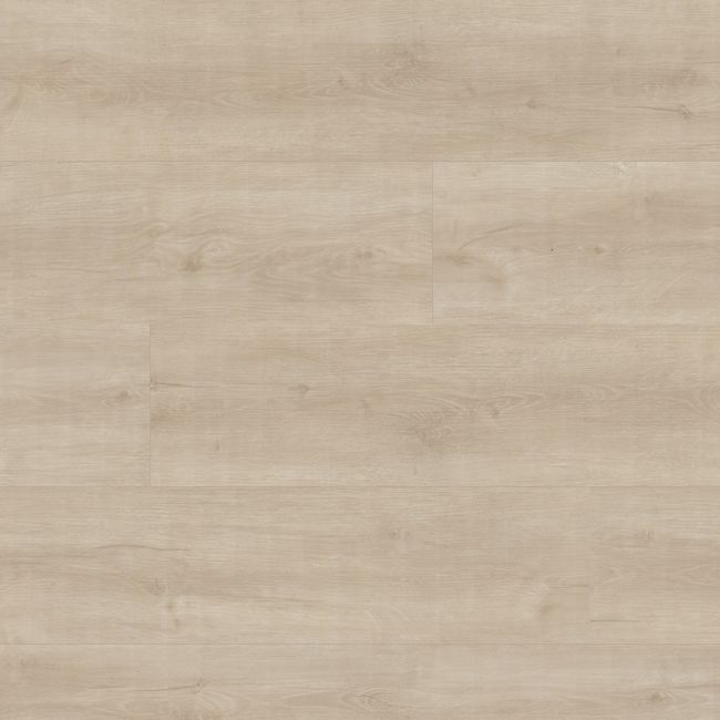 MSI Laurel Shasta Grove Luxury Vinyl Plank