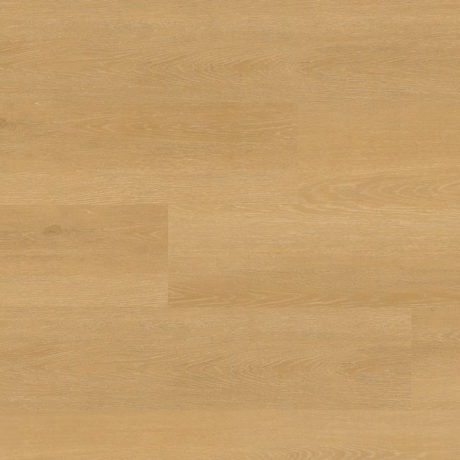 MSI Nove Plus Selbourne Luxury Vinyl Plank