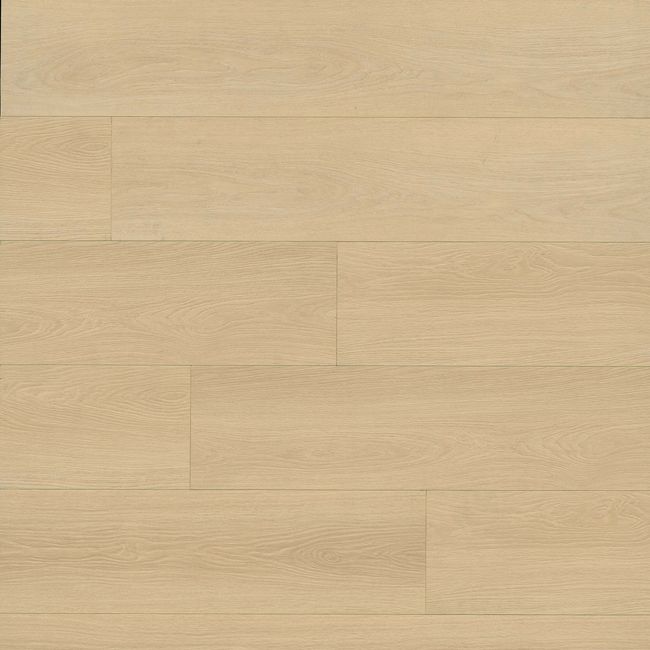 MSI Shorecliffs Houston Trail Luxury Vinyl Plank