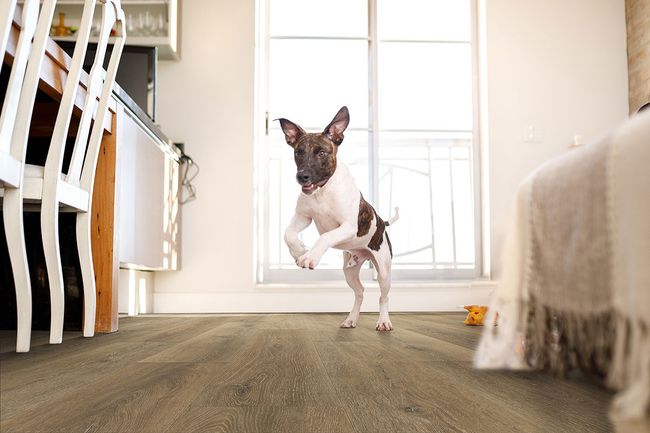 MSI Smithcliffs Delray Luxury Vinyl Plank view 2