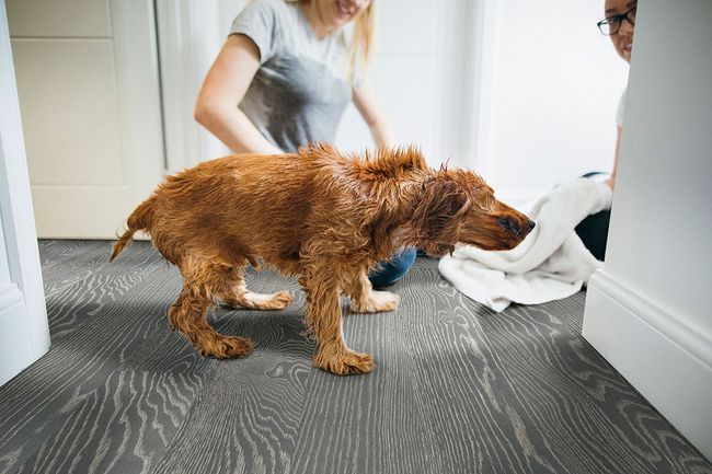 MSI Woodhills Liora Oak Luxury Vinyl Plank view 2