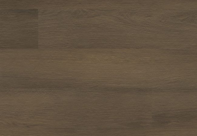 MSI Everlife Ashton 2.0 Vinyl Plank Beckley Bruno