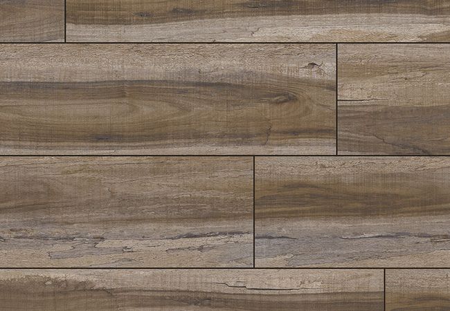 MSI Everlife Cyrus XL Vinyl Plank Exotika