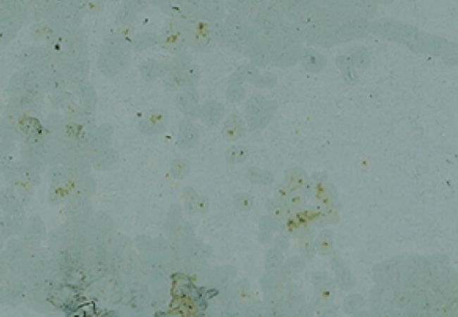 Midgley West Grunge Aqua Tile 3"x12" - Shiny