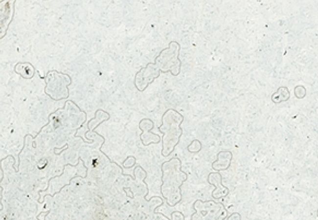 Midgley West Grunge Iron Tile 3"x12" - Shiny